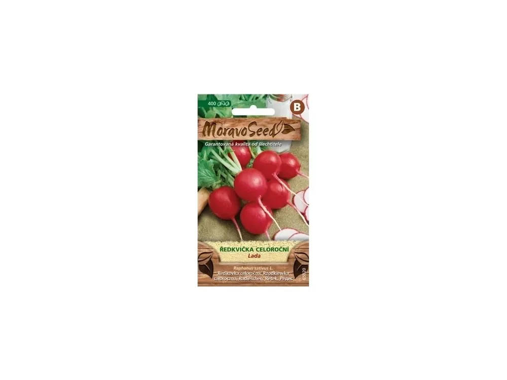 Ředkvička Lada - MORAVOSEED Nízká Cena
