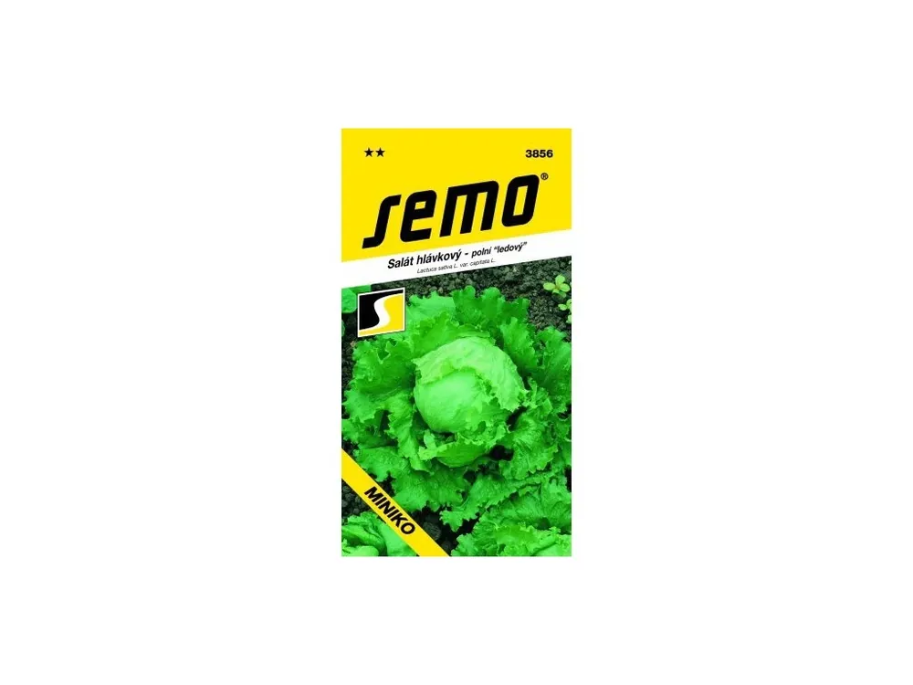 Salát ledový - Miniko 0,4g Časově Omezené