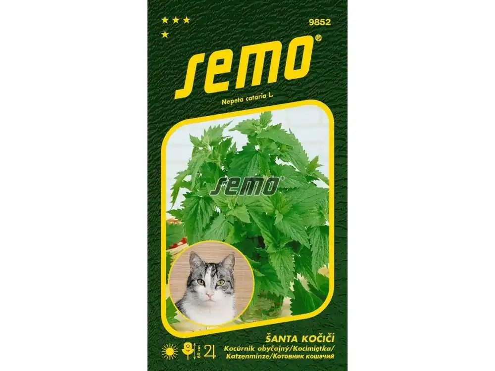 Šanta kočičí - Cat Grass 0,2g Rychlé Dodání