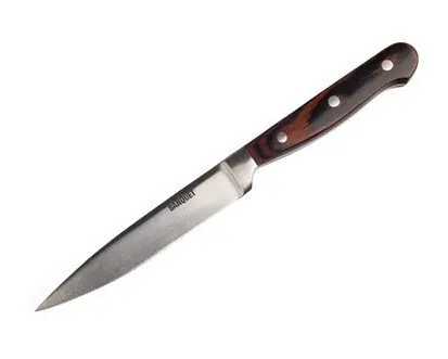 Nová Kolekce Univerzální nůž Savoy 23,5cm TCE