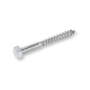 Vrut 6x100mm Zn 6hran 100ks (min.bal.150ks) Super Cena
