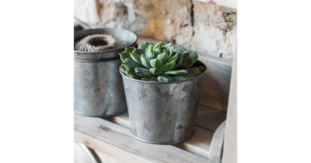 Nejprodávanější Malý plechový květináč Herb Pot