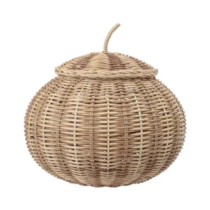 Ratanový úložný koš s víkem Nature Expresní Doručení