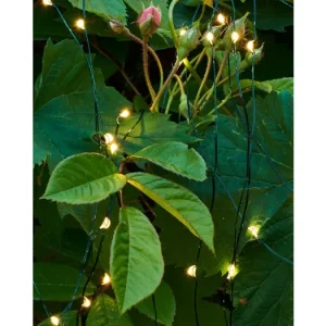 Svítící řetěz Fairy Light 80 LED Green Ověřený