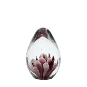 Hmotnosť Lotus clear Novinka