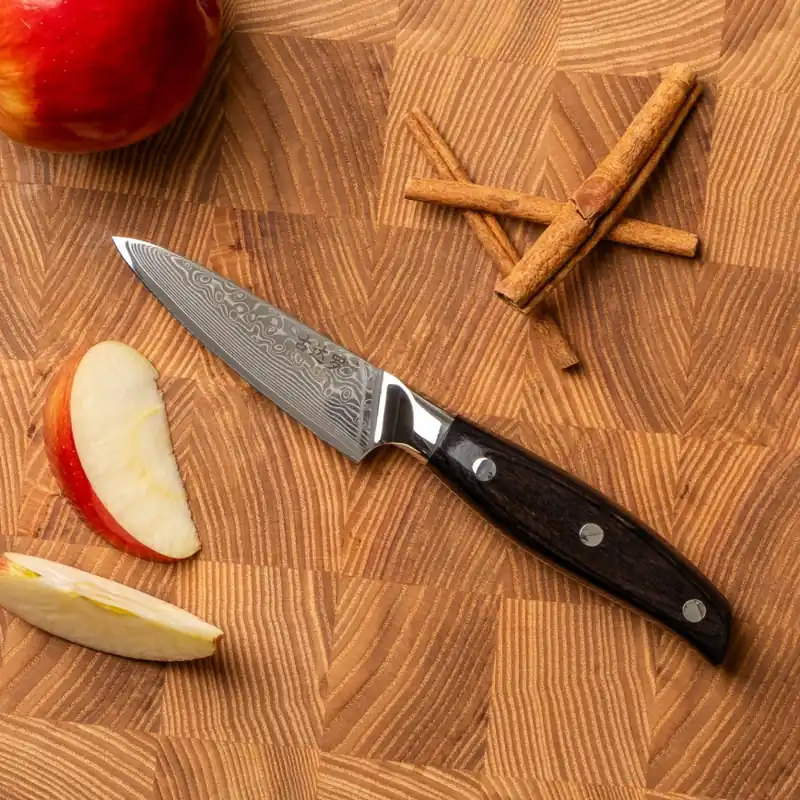 Levný Gudaro - Damaškový kuchyňský nůž SHIRO 3,5", 67 vrstev oceli, délka 9,5 cm